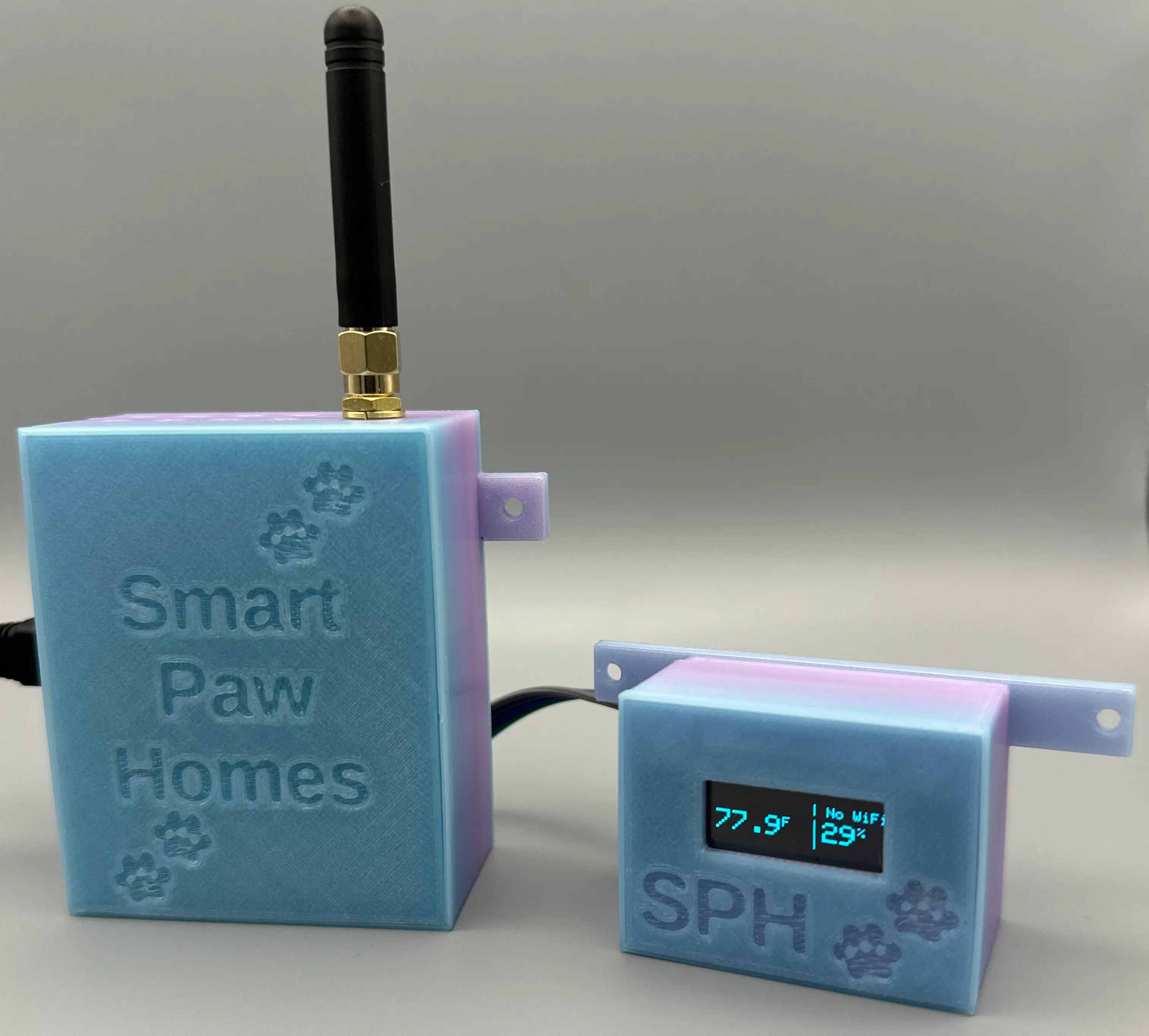 Pioneer Starter product