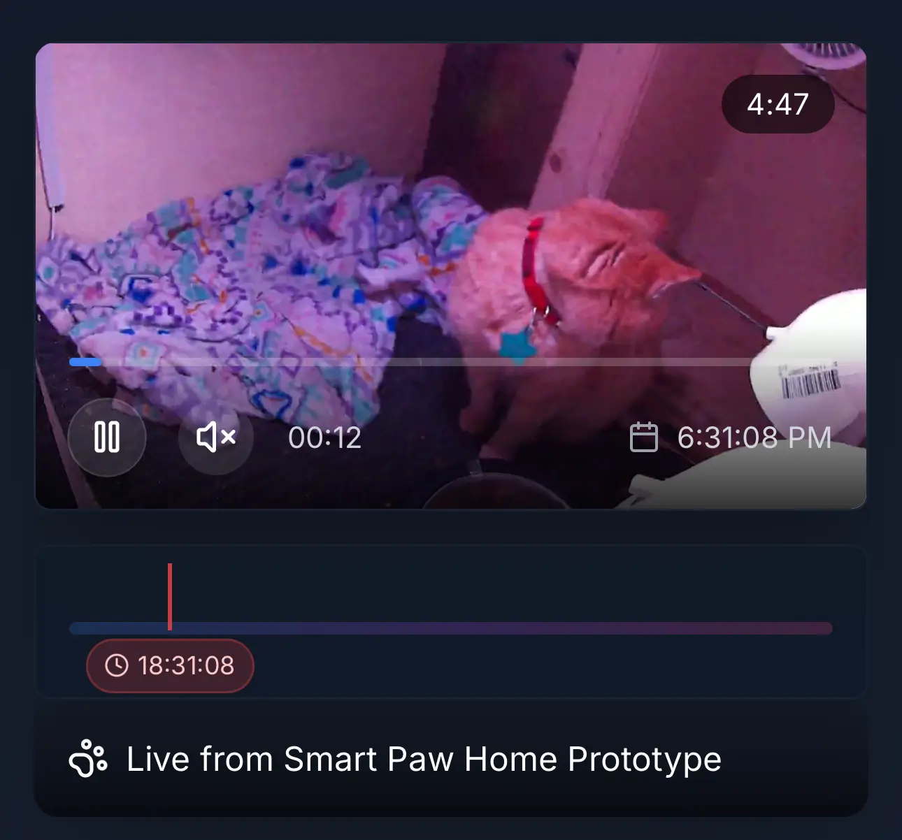 Thermal efficiency demonstration of Smart Paw Home insulation